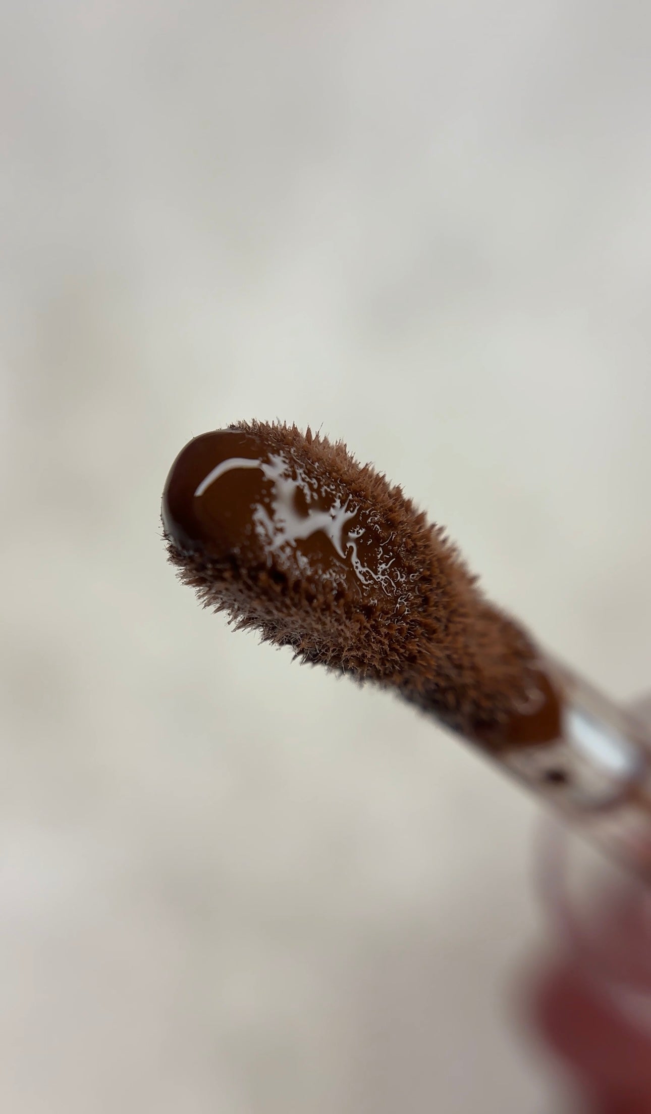 Sweet Sin cholate lipgloss